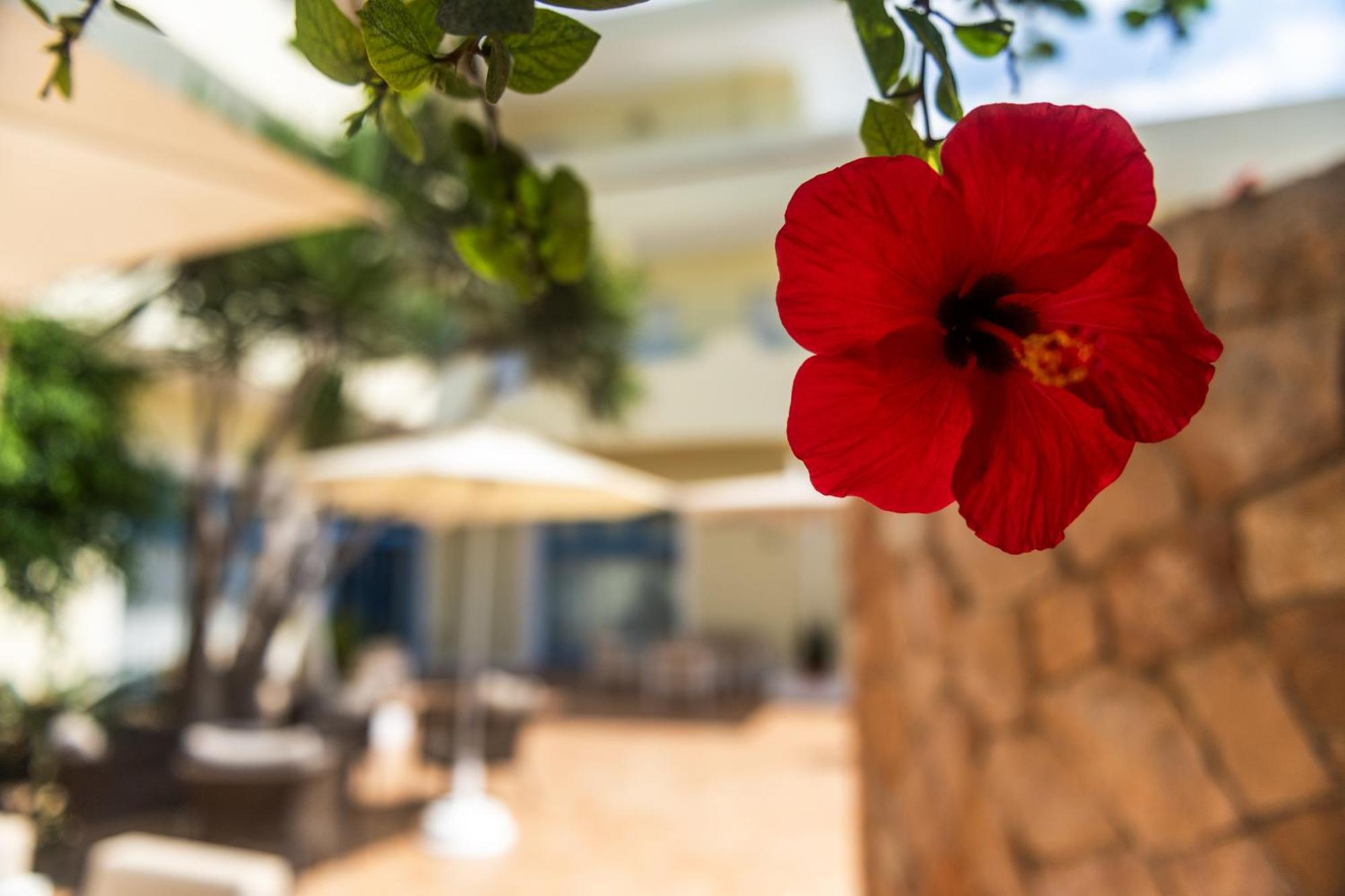 Hotel Baia Turchese LMP Exterior foto